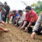 Sekda Kepulauan Yapen, Erny Tania saat menanam bibit sayuran pada pembukaan Pengimbasan Sekolah Penggerak di SD PGRI Dawai, Kamis 18 April 2024. (KabarPapua.co/Ainun Faathirjal)