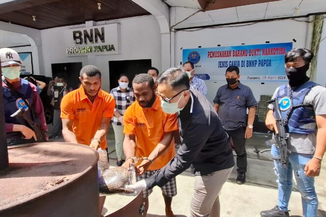
					Dua pemuda penyelundup ganja saat memusnahkan barang bukti di halaman Kantor BNNP Papua, Jumat 19 April 2024. (KabarPapua.co/Imelda)