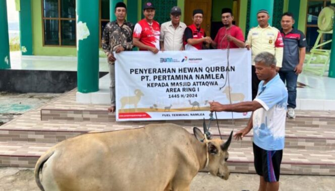 
					Pertamina Patra Niaga Regional Papua Maluku menyalurkan hewan kurban untuk masyarakat saat Idul Adha. (Pertamina)