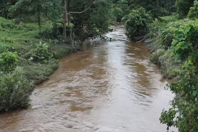 
					Curah hujan tinggi menyebabkan kali meluap hingga merendam sejumlah wilayah di Kabupaten Sarmi, Papua. (Polda Papua)