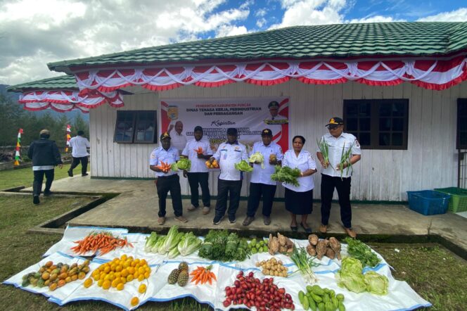 
					Dinas Tenaga Kerja, Perindustrian dan Perdagangan  (Disnakerperindag) Kabupaten Puncak ketika membeli sayur petani OAP. (Diskominfo Puncak)