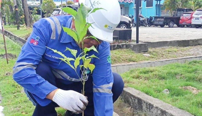 
					Penanaman pohon di lingkungan PT. PLN Indonesia Power UBP Holtekamp, Kota Jayapura. (Foto dok UBP Holtekamp)