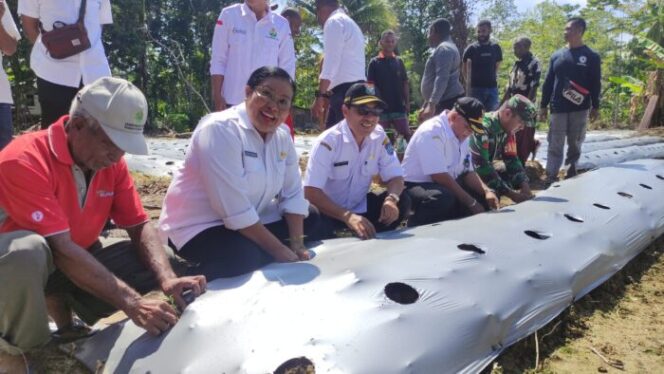 
					Penjabat Bupati Kepulauan Yapen, Suzana Wanggai saat menanam bibit cabai di Lahan Kampung Ariepi II. (KabarPapua.co/Ainun Faathirjal)