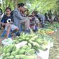 Siswa menjual hasil kebun dalam bazar murah di halaman sekolah SD Kristen Charis Serui, Kepulauan Yapen, Papua. (KabarPapua.co/Ainun Faathirjal)