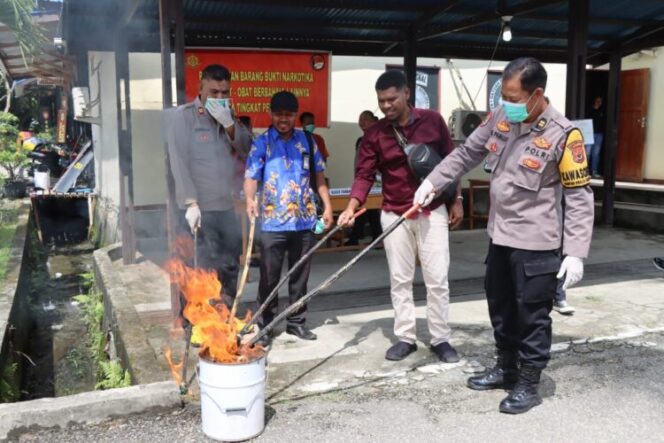 
					Pemusnahan ganja dan sabu di Polres Nabire. Foto: Polres Nabire.