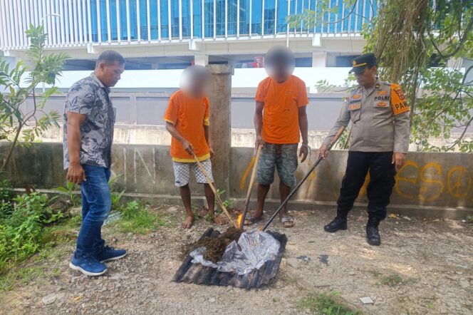 
					Polda Papua memusnahkan barang bukti ganja tangkapan di Kota Jayapura. (Humas Polda Papua)