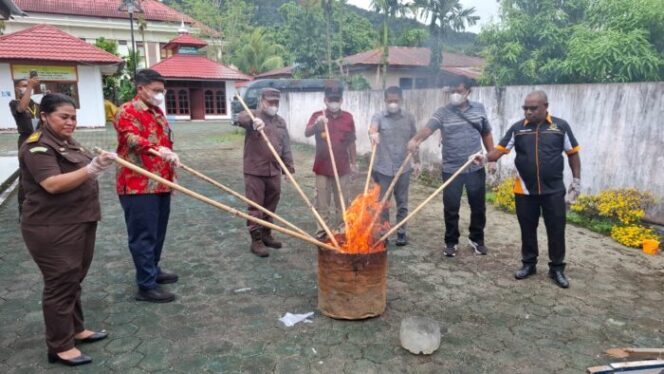 
					Pemusnahan barang bukti narkotika di Halaman Kantor Kejari Kepulauan Yapen. (KabarPapua.co/Ainun Faathirjal)