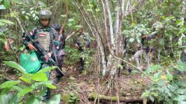 Satgas Yonif 131 Braja Sakti saat melakukan patroli di jalur tikus Perbatasan Papua Nugini. (Ist)