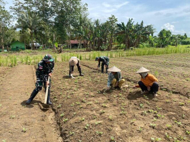 
					TNI di Papua jaga ketahanan pangan di Papua. Foto: Pendam Cenderawasih