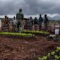 Sosialisasi varietas tanaman baru untuk cucca ekstrem yang dikenalkan olejh TNI kepada masyarkaat Agundugume. Foto: Pendam Cenderawasih.