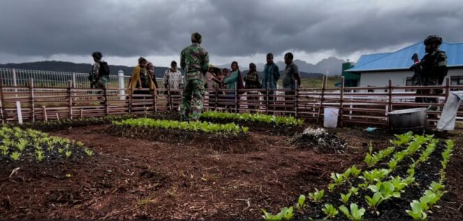 
					Sosialisasi varietas tanaman baru untuk cucca ekstrem yang dikenalkan olejh TNI kepada masyarkaat Agundugume. Foto: Pendam Cenderawasih.