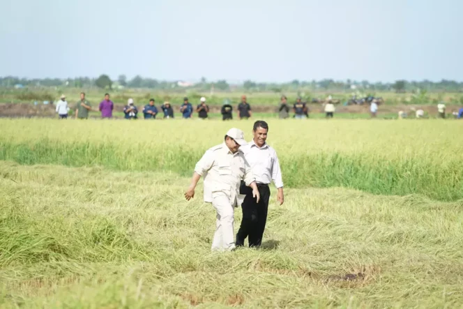 
					Presiden Prabowo Subianto bersama Mentan saat berada di Merauke. Foto: BeritaSatu. com