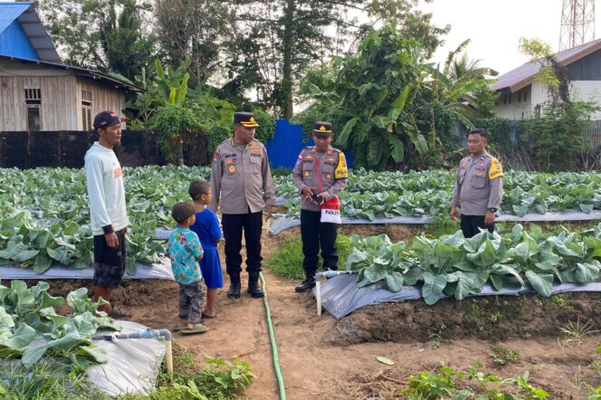 
					Dirbinmas Polda Papua, Kombes Pol. Erick Kadir Sully meninjau lahan pertanian binaan di Kampung Spadem, Kabupaten Merauke, Sabtu 2 November 2024. (Polda Papua)