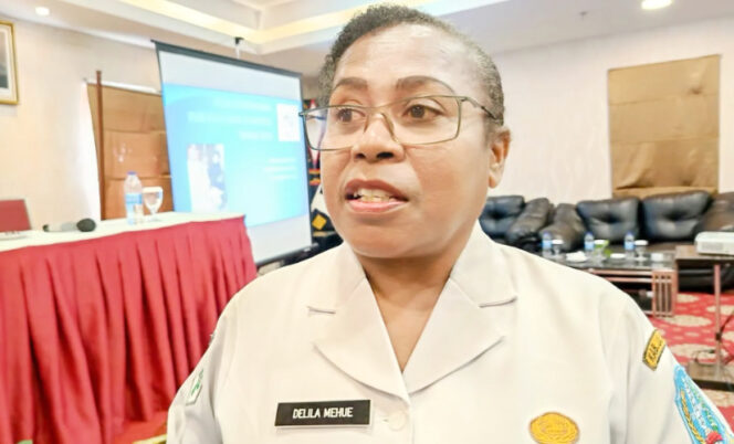 
					Kepala Bidang Kesehatan Masyarakat, Dinas Kesehatan Kabupaten Jayapura, Delila Mehue. (Dok: jayapurakab.go.id)