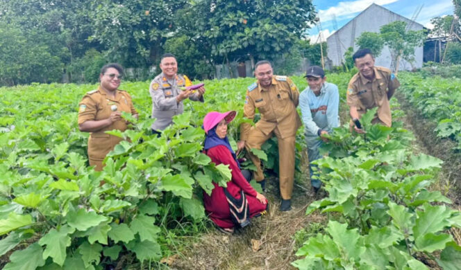 
					Pj. Bupati Jayapura, Triwarno Purnomo di kebun warga di daerah Toware dan Doyo Lama, Distrik Waibu, Kabupaten Jayapura. (dok: jayapurakab.go.id)