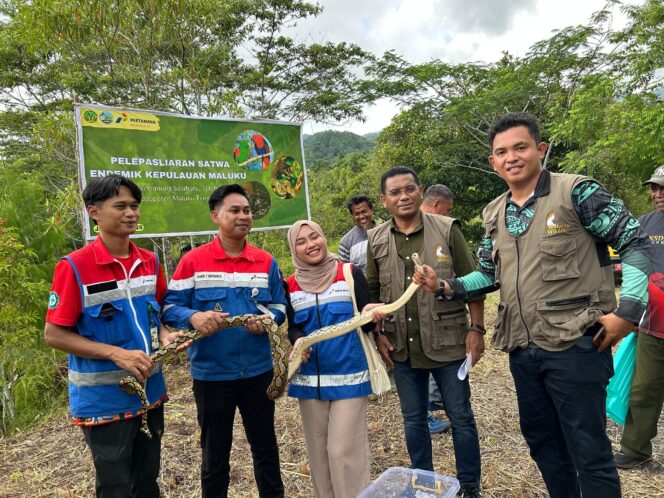 
					Pertamina Patra Niaga Regional Papua Maluku Gandeng BKSDA Lestarikan Satwa Endemik Maluku. Foto: Pertamina Regional Papua Maluku