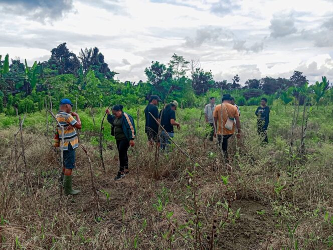 
					Pembukaan lahan kosong untuk ketahanan pangan.
