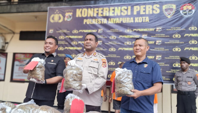 
					Kapolresta Jayapura Kota, AKBP Fredrickus W.A. Maclarimboen saat mengangkat barang bukti ganja. (KabarPapua.co/Imelda)
