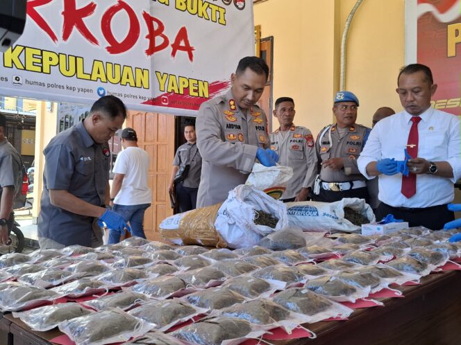
					Barang sitaan ganja di Polres Kepulauan Yapen. Foto: 