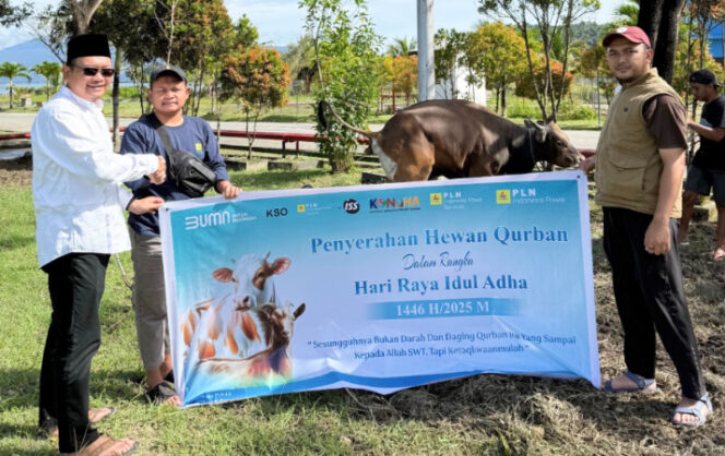 
					Saat penyerahan hewan kurban berupa 1 ekor sapi kepada pihak panitia di Masjid At- Targhib di Holtekamp, Kota Jayapura, Papua. (Foto dok: PLN IP UBP Holtekamp) 