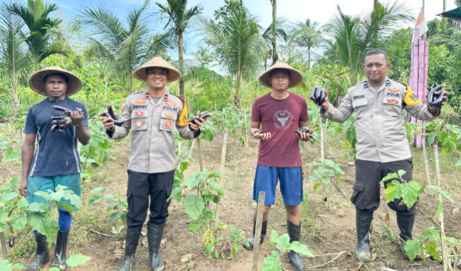
					Aipda Riduan bersama para petani usai memetik sayur terong dari kebun. (KabarPapua.co/Agies Pranoto) 
