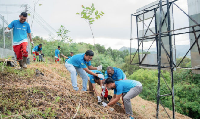 
					Aksi penanaman pohon ini menunjukkan peran aktif PLN dalam mendukung pelestarian lingkungan. (Foto dok: PLN UIW Papua dan Papua Barat)