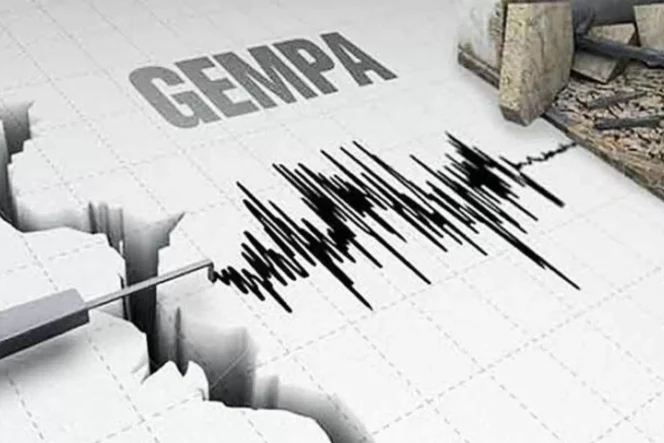 
					Ilustrasi gempa bumi. Foto: Net