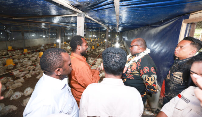 
					Gubernur Papua Tengah Meki Nawipa saat temui peternak ayam broiler di Kabupaten Mimika. (Foto dok Humas Pemprov Papua)