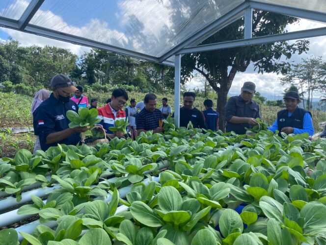 
					Pertamina Patra Niaga Regional Papua Maluku melalui Integrated Terminal (IT) Wayame sukses menghadirkan Wayame Hydro Bae, sebuah Program CSR inovasi sosial berbasis teknologi pompa ramah lingkungan: Foto: Pertamina Papua Maluku 