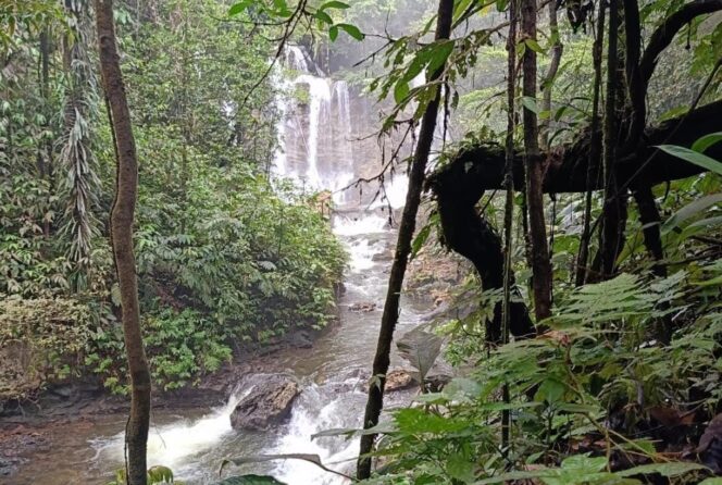 
					Ilustrasi Sungai Wabudori di Kabupaten Supiori, Papua yang akan dimanfaatkan untuk menggerakkan PLTM. Foto: Net