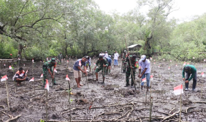 
					Penaman bibit tanaman Mangrove di pesisir Kampung Menawi, Distrik Angkaisera, Kabupaten Kepulauan Yapen. (Foto dok: Babinsa Koramil 1709-01/Serui)