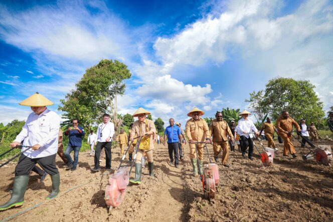 
					Gubernur Papua Tengah , Meki Nawipa mendampingi Menteri Koperasi Budi Arie Setiadi dan Menteri Desa Yandri Susanto tanam jagung di Kampung Bumi Raya. Foto: Humas PPT