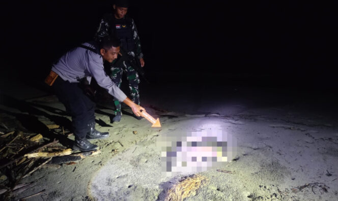
					Temuan jasad bayi di pesisir Pantai Skouw Sae. Foto: Humas Polresta Jayapura Kota 