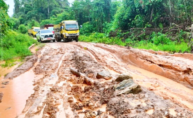 
					Kondisi jalan masuk ke ibukota Distrik Yamor yang rusak parah dan susah untuk dilewati. (KabarPapua.co/Yosias Wambrauw)