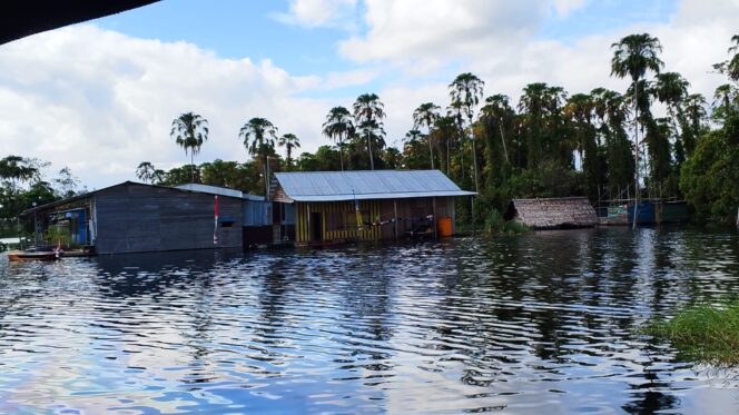 
					Penampakan rumah warga yang terkena banjir di Kampung Bifo, Distrik Passue Bawah, Kabupaten Mappi, Provinsi Papua Selatan, Rabu 10 September 2025. Foto: Humas Polda Papua.