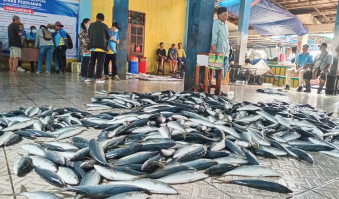 
					Optimalkan TPI Hamadi, Dinas Perikanan Kota Jayapura lakukan pendataan para pelaku usaha di Area pelelangan ikan di Hamadi, Kota Jayapura. (KabarPapua.co/Natalya Yoku)

