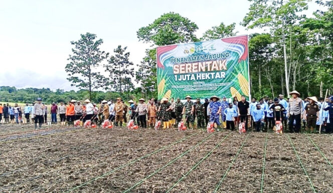 
					Kegiatan penanaman Jagung Serentak 1 Juta Hektar di Kampung AIB, Distrik Kemtuk, Kabupaten Jayapura. (Foto dok: jayapurakab.go.id)