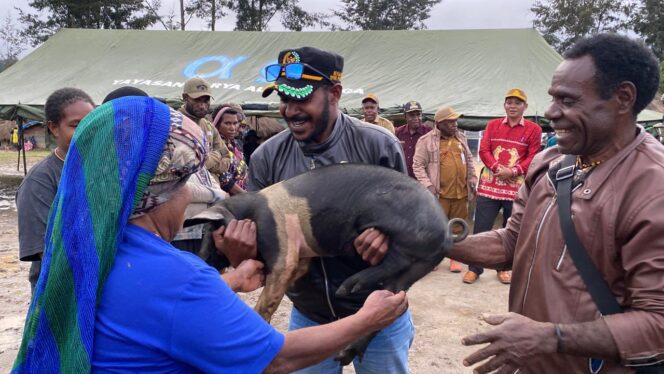 
					Pembagian bibit ternak babi untuk masyarakat di Distrik Omukia. Foto: Diskominfo Puncak 
