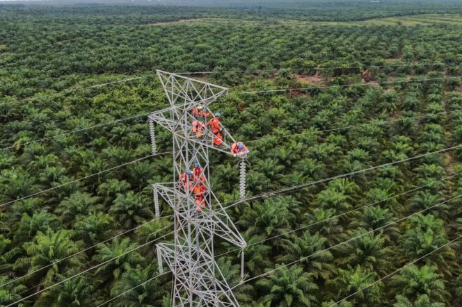 
					Foto udara Saluran Udara Tegangan Tinggi (SUTT) 150 kiloVolt (KV) Bengkayang - Singkawang, Kabupaten Bengkayang, Kalimantan Barat. Foto: PLN 