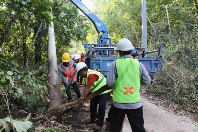 
					Petugas PLN bergotong royong memasang tiang listrik jaringan tegangan menengah (JTM) yang akan menyalurkan listrik ke Dusun 4 Sungai Putih, Desa Bandar Jaya.  Foto:PLN
