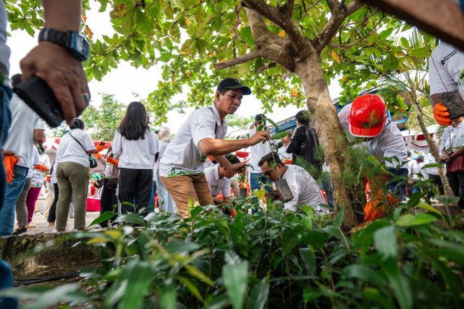 
					PLN group bersama stakeholder menanam 2.500 bibit pohon di kawasan PLTU Holtekamp, Jayapura, dalam rangka Hari Menanam Pohon Indonesia (HMPI) Foto: PLN Papua 