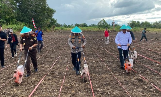 
					Papua Tengah Dorong Jagung Jadi Pilar Ketahanan Pangan