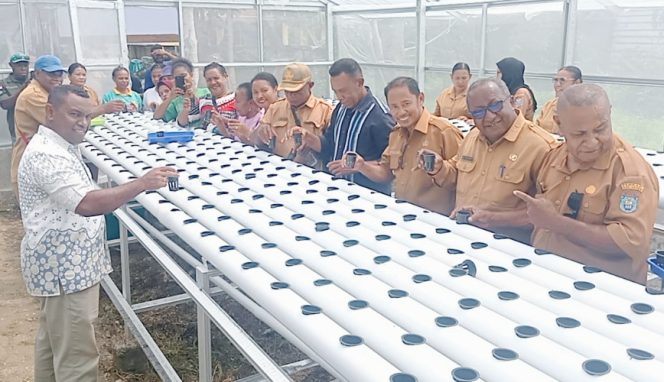 
					Wabup Kepulauan Yapen Roi Palunga didampingi Kadis Ketahanan Pangan Kepulauan Yapen saat menanam bibit sayuran dengan sistem hidroponik. (Foto dok: Dinas Ketahanan Pangan Kepulauan Yapen)