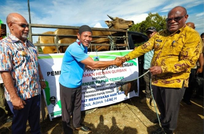 
					Penyerahan hewan kurban dari Pemprov Papua Tengah dan juga dari Presiden Prabowo. Foto: IG provpapuatengah