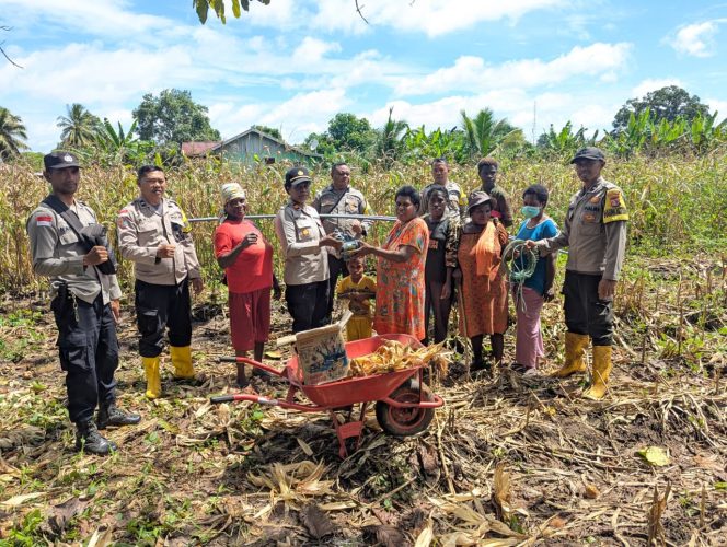 
					Panen raya jagung di Distrik Sota. Foto: Humas Polda Papua