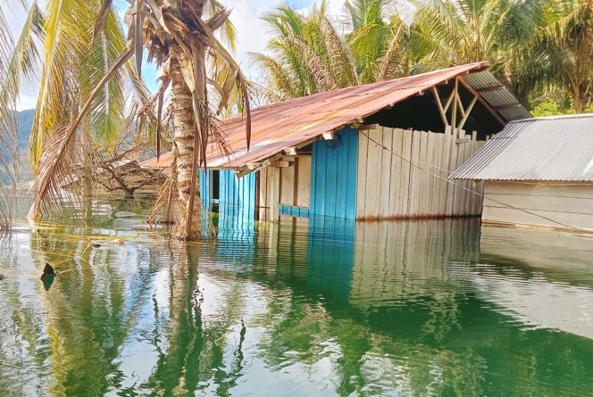 
					 Rumah penduduk yang terendam banjir akibat luapan air Danau Esrotnamba. Foto: Yosias Wambraue/KabarPapua.co