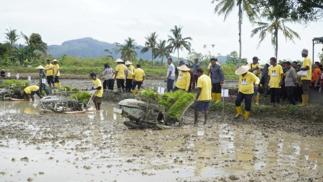 
					Tanam padi di sawah seluas 85 hektar yang berada di Jalan Bendungan Tami, Kelurahan Koya Timur, Distrik Muara Tami, Kota Jayapura. Foto: Imelda/KabarPapua.co