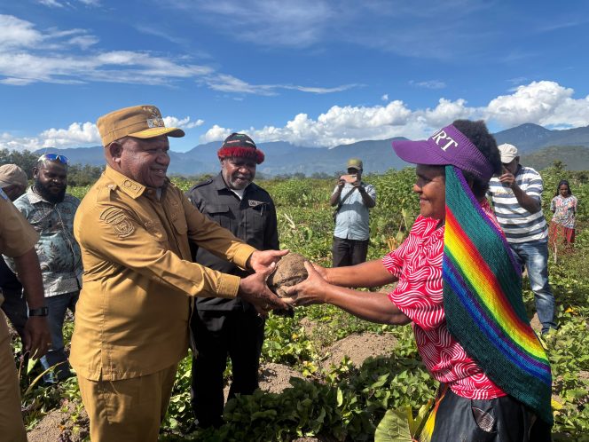 
					Wakil Bupati Jayawijaya Ronny Elopere, menghadiri panen ubi jalar di Distrik Hubikiak, Senin, 2 Maret 2026. Foto: Agris Wistrijaya/KabarPapua.co