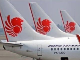 Pesawat lion air. Foto: lion air.co.id