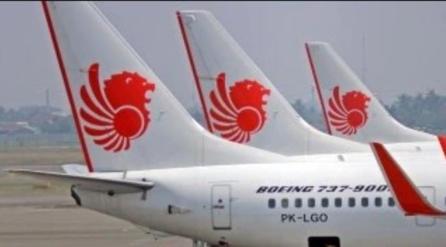 Pesawat lion air. Foto: lion air.co.id